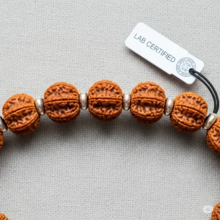 Saat Mukhi Rudraksha (Seven-Faced Rudraksha) – Lab Certified
