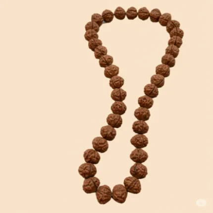 Authentic Rudraksha Mala – Spiritual Energy & Divine Blessings
