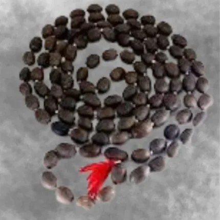 Kamal Gatte ki Mala – Sacred Lotus Seed Necklace