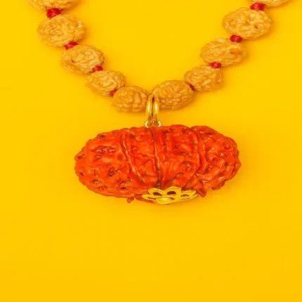 Dus Mukhi / Ten-Faced Rudraksha – Mercury (Budh)